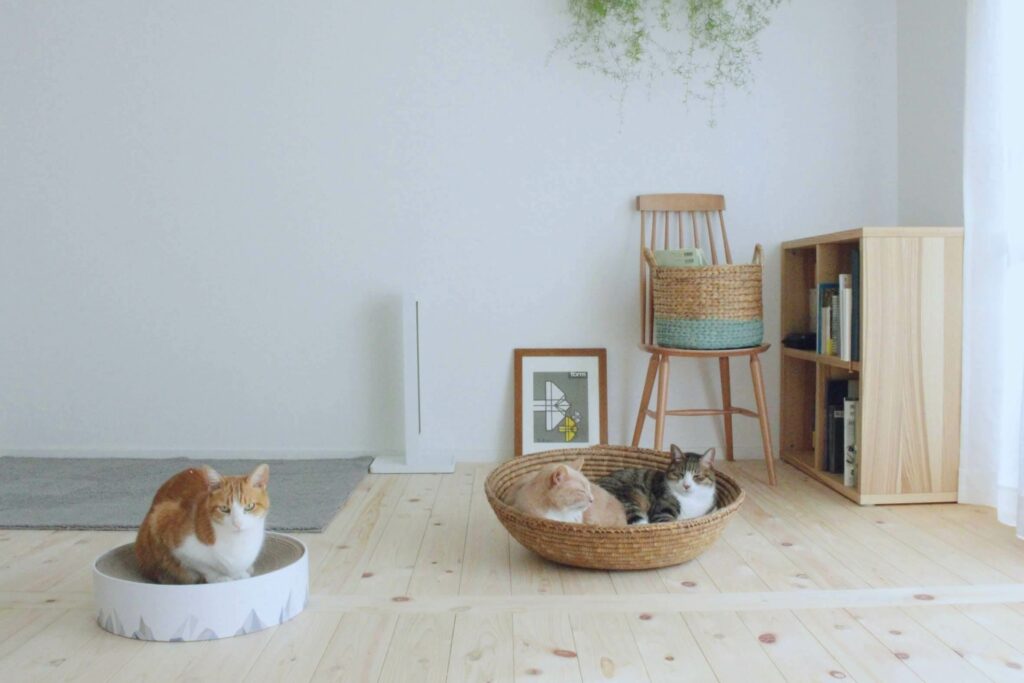 無垢フローリングの家に住んで感じたメリット・デメリットや塗装別のお手入れ方法を解説