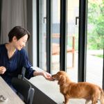 【間取り解説】愛犬も快適！外とつながるインナーテラスのある間取り